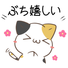 Hiroshima dialect calico cat