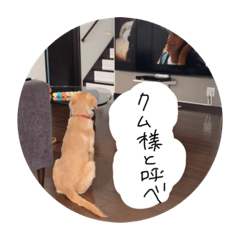 hikari_20201016205027