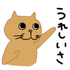 Hokkaido dialect brown cat