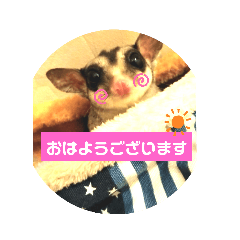 CHIE_20201016230720