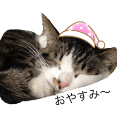 natsumi_20201016201446