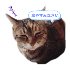 nanami_20201017081404