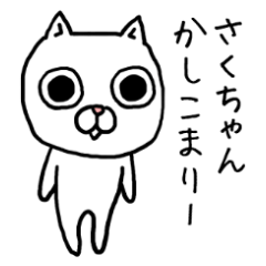 Sakuchan cat
