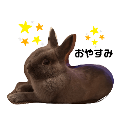 arisa_20201017110722