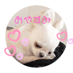 riho_20201017111844