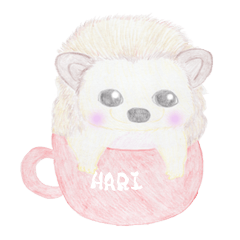 Hedgehog of Hari