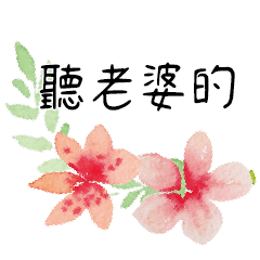 手寫大字水彩手工彩繪花卉花朵花瓣植物7