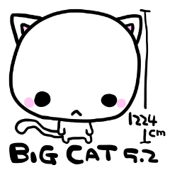 BIGCAT5.2