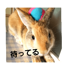 ACE_20201017144244