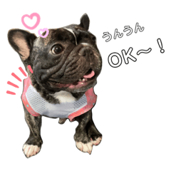 katsukatsu8686_20201017153640