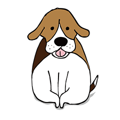 Beagle dog GAKU
