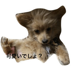 natsumi_20201017151731