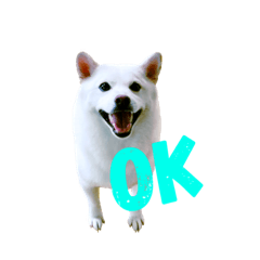 Shiroshiba stickers