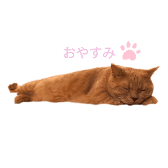 ken_20201017192124