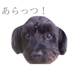 mori_20201018001129