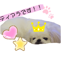 hana_0611129