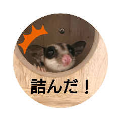ima_20201018011142