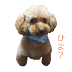 RINA_20201017212337