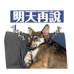 歪阿東東