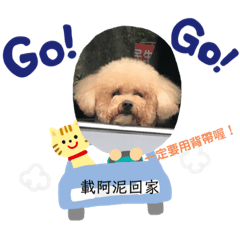 泥泥寶寶貝
