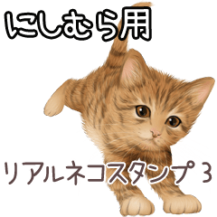 Nishimura Real pretty cats 3