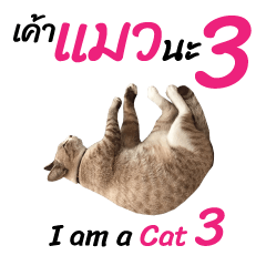 ニャーニャー 私は猫です 3