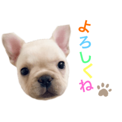 mizuki_20201017222635