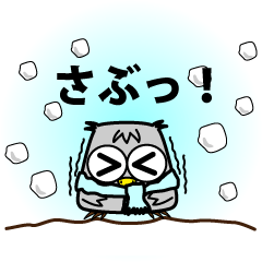Happy Owl. winter
