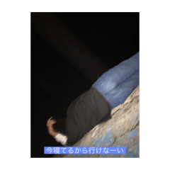 d_20201017191557