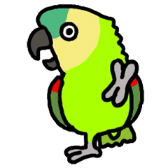 The Amazon Parrot ver2