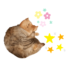 omochi_20201018151351