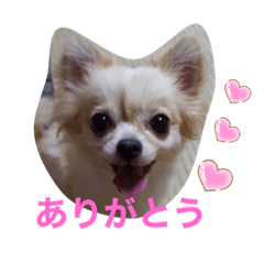 Alice_20201018170458