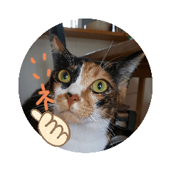 konatsu_20201018201845