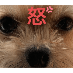 mizuki_20201018214007