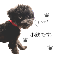 chiitan_20201019012940