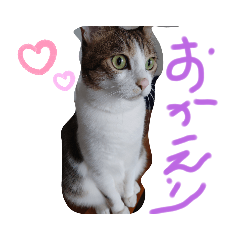 hana_20201018193431