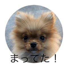 ppap_20201019075108