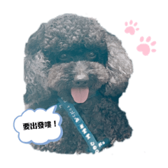 我是路路