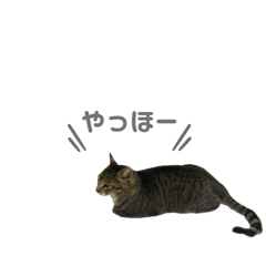 chisa_20201019121359