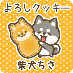 Petit Shiba Chisa (Joke Sweets)