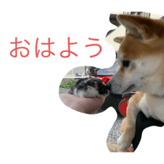 kazuki_20201019104141