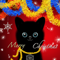 Happy Christmas! Black & White Cats