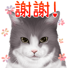 cats sticker vol.2 Chinese (Traditional)