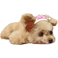 yun_20201019154157