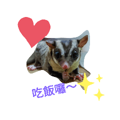 布丁的生活 ❤