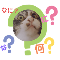 mochi_20201019171147