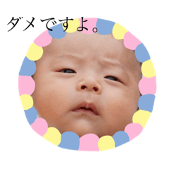 hikari_20201019134318