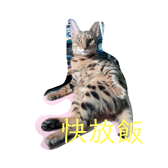 萌萌嘎逼