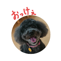 tonton_20201019181743