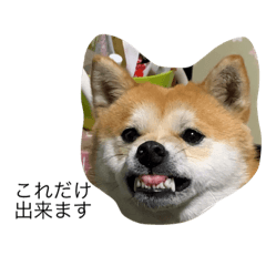 kazuki_20201019204226